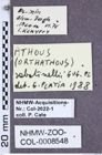 Etiketten zu Athous sabatinellii (NHMW-ZOO-COL-0008548)